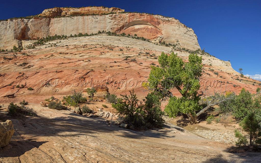15981_29_09_2014_zion_national_park_mount_carmel_utah_autumn_red_rock_blue_sky_fall_color_colorful_tree_mountain_forest_panoramic_landscape_photography_herbst_33_9755x6083.jpg