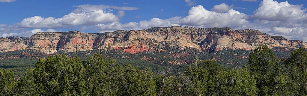 15986_29_09_2014_zion_national_park_mount_carmel_utah_autumn_red_rock_blue_sky_fall_color_colorful_tree_mountain_forest_panoramic_landscape_photography_herbst_27_22183x6930.jpg