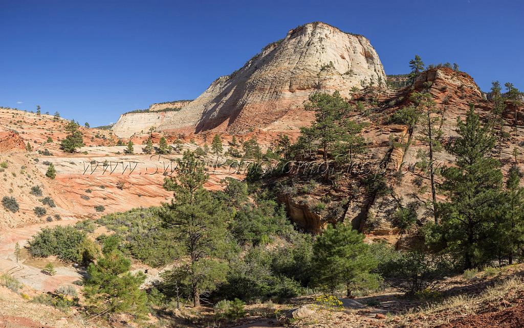 16010_29_09_2014_zion_national_park_mount_carmel_utah_autumn_red_rock_blue_sky_fall_color_colorful_tree_mountain_forest_panoramic_landscape_photography_herbst_34_9840x6166.jpg