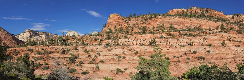 16012_29_09_2014_zion_national_park_mount_carmel_utah_autumn_red_rock_blue_sky_fall_color_colorful_tree_mountain_forest_panoramic_landscape_photography_herbst_47_20822x6847.jpg