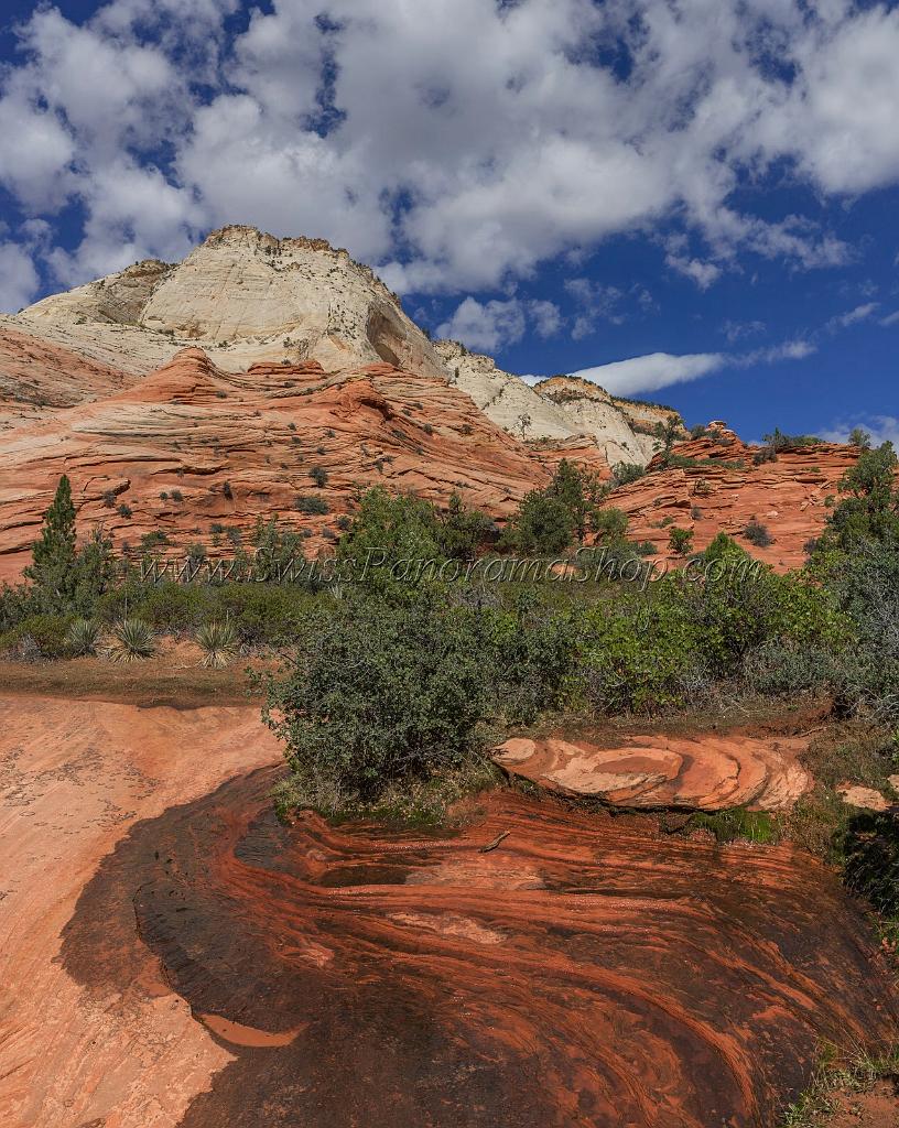 16693_01_10_2014_zion_national_park_mount_carmel_utah_autumn_red_rock_blue_sky_fall_color_colorful_tree_mountain_forest_panoramic_landscape_photography_herbst_30_6951x8726.jpg