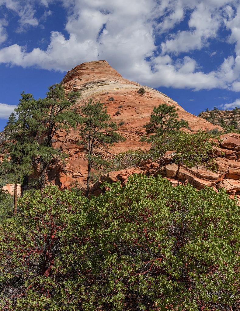 16694_01_10_2014_zion_national_park_mount_carmel_utah_autumn_red_rock_blue_sky_fall_color_colorful_tree_mountain_forest_panoramic_landscape_photography_herbst_29_7029x9118.jpg
