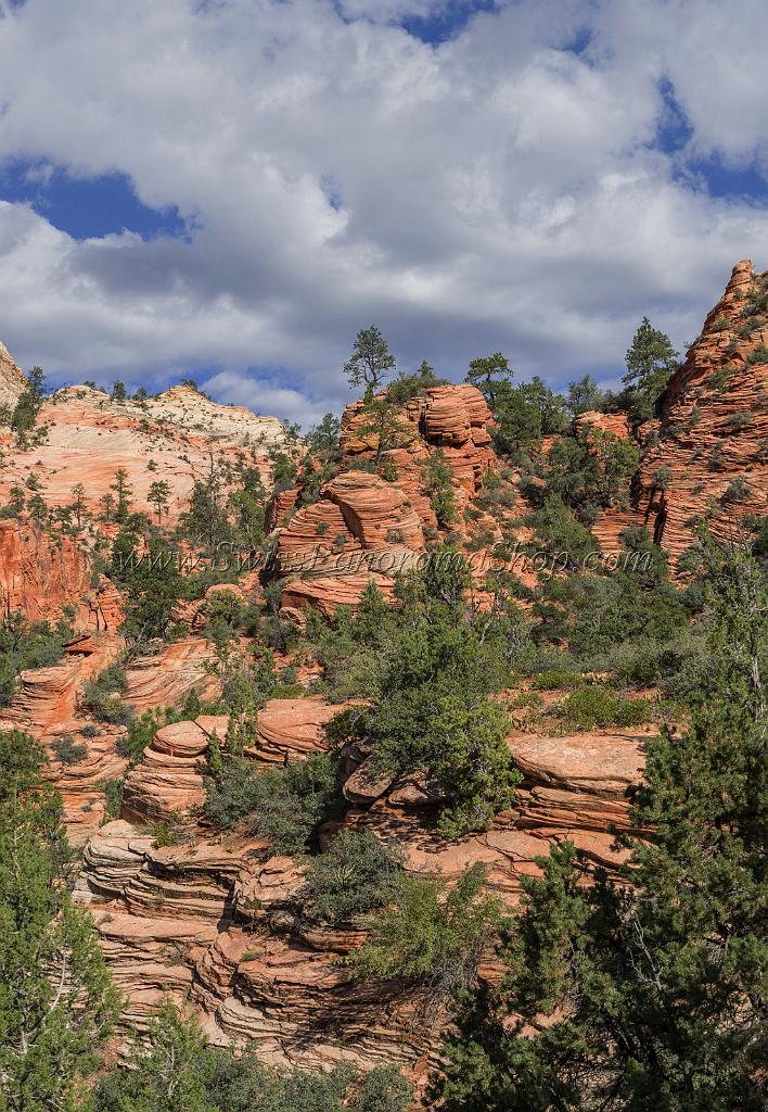 16701_01_10_2014_zion_national_park_mount_carmel_utah_autumn_red_rock_blue_sky_fall_color_colorful_tree_mountain_forest_panoramic_landscape_photography_herbst_22_6753x9760.jpg