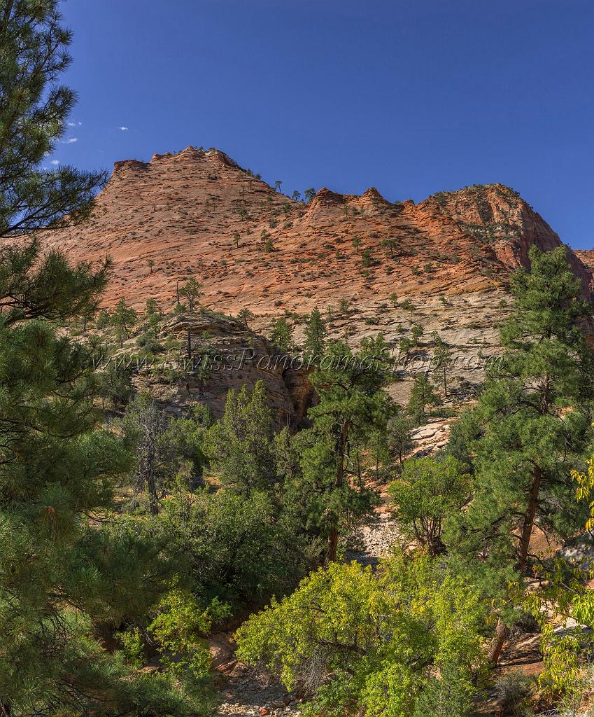 16705_01_10_2014_zion_national_park_mount_carmel_utah_autumn_red_rock_blue_sky_fall_color_colorful_tree_mountain_forest_panoramic_landscape_photography_herbst_18_6961x8402.jpg