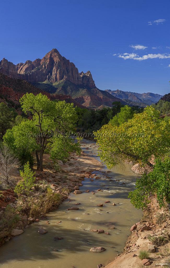16715_01_10_2014_zion_national_park_mount_carmel_utah_autumn_red_rock_blue_sky_fall_color_colorful_tree_mountain_forest_panoramic_landscape_photography_herbst_6_7077x11133.jpg