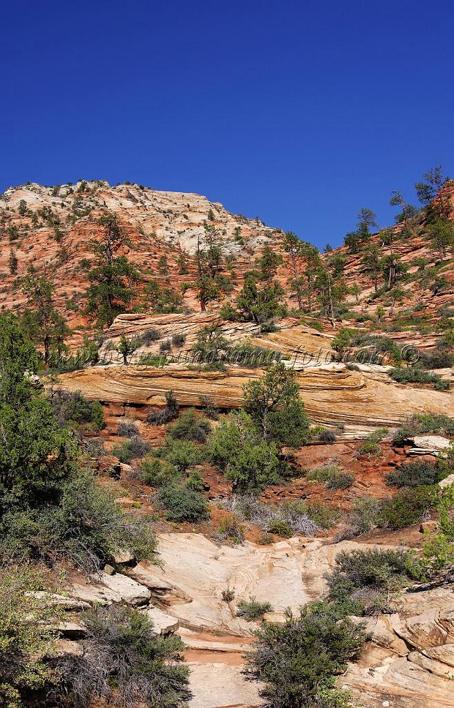 8417_07_10_2010_mount_carmel_zion_national_park_utah_red_rock_formation_valley_scenic_outlook_sky_cloud_panoramic_landscape_photography_panorama_landschaft_78_4341x6763.jpg