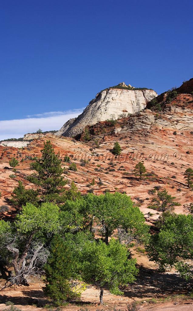 8421_07_10_2010_mount_carmel_zion_national_park_utah_red_rock_formation_valley_scenic_outlook_sky_cloud_panoramic_landscape_photography_panorama_landschaft_82_4230x6815.jpg