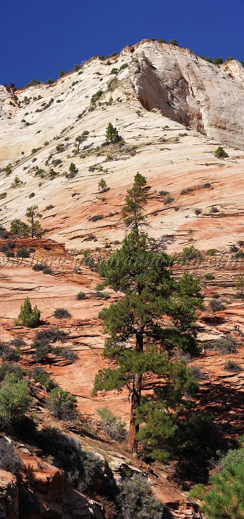 8429_07_10_2010_mount_carmel_zion_national_park_utah_red_rock_formation_valley_scenic_outlook_sky_cloud_panoramic_landscape_photography_panorama_landschaft_90_4200x8946.jpg