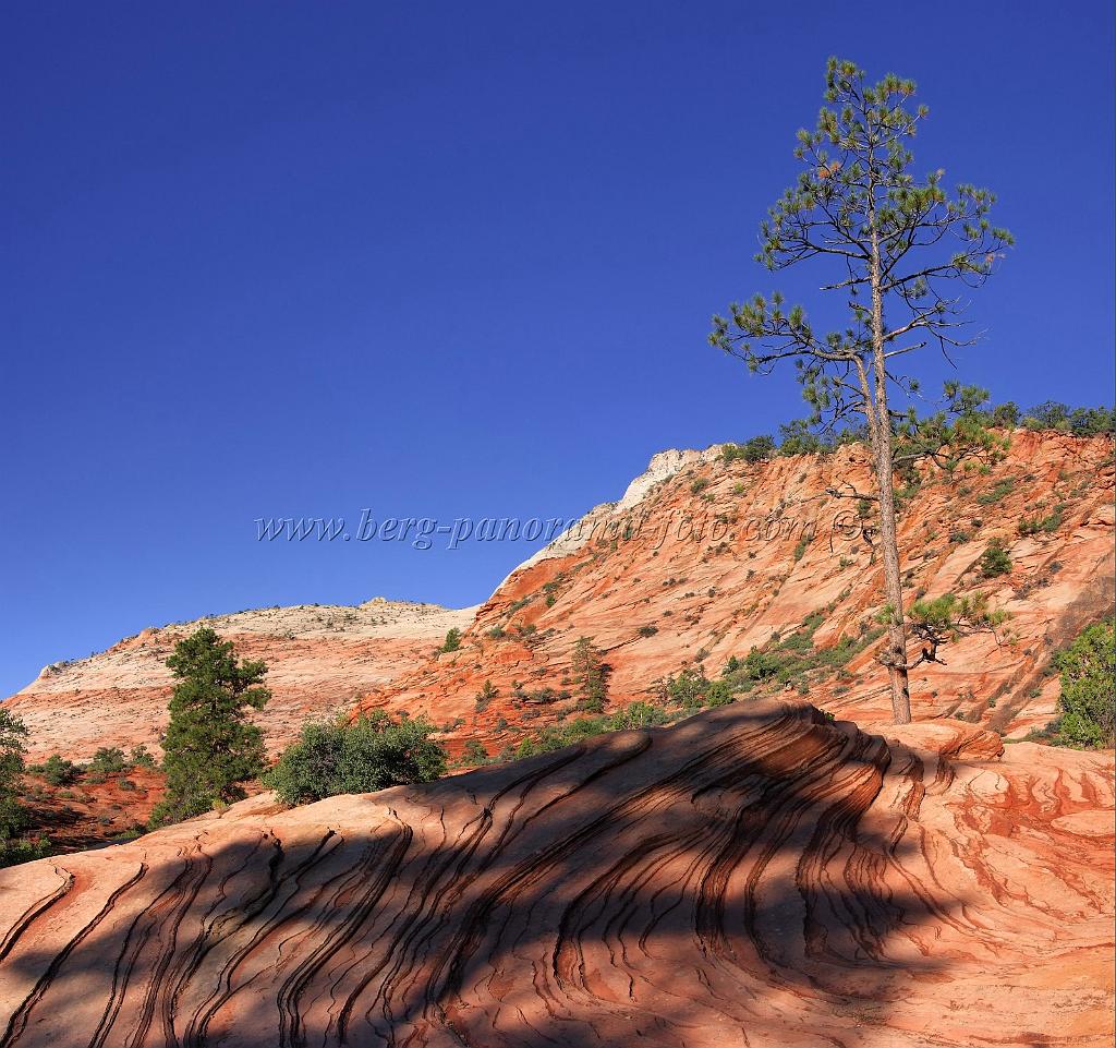 8533_08_10_2010_mount_carmel_zion_national_park_utah_red_rock_formation_valley_scenic_outlook_sky_cloud_panoramic_landscape_photography_panorama_landschaft_32_5937x5577.jpg