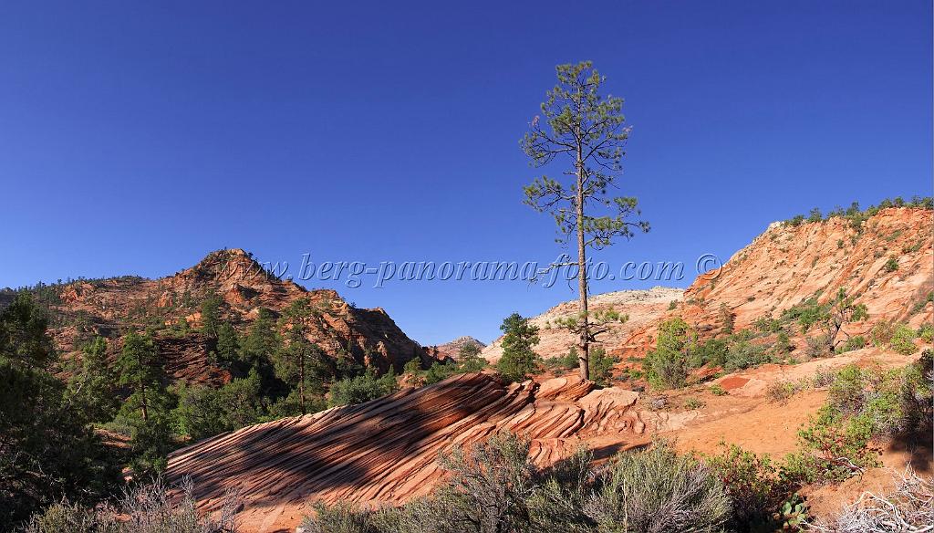 8534_08_10_2010_mount_carmel_zion_national_park_utah_red_rock_formation_valley_scenic_outlook_sky_cloud_panoramic_landscape_photography_panorama_landschaft_33_7381x4214.jpg