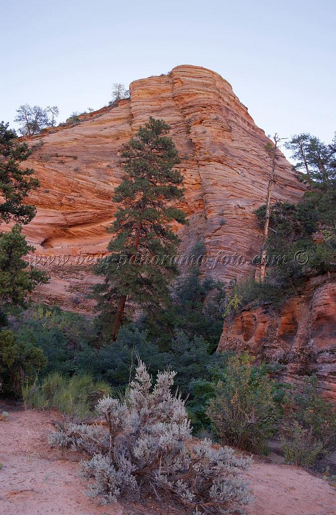 8542_08_10_2010_mount_carmel_zion_national_park_utah_red_rock_formation_valley_scenic_outlook_sky_cloud_panoramic_landscape_photography_panorama_landschaft_41_4278x6559.jpg