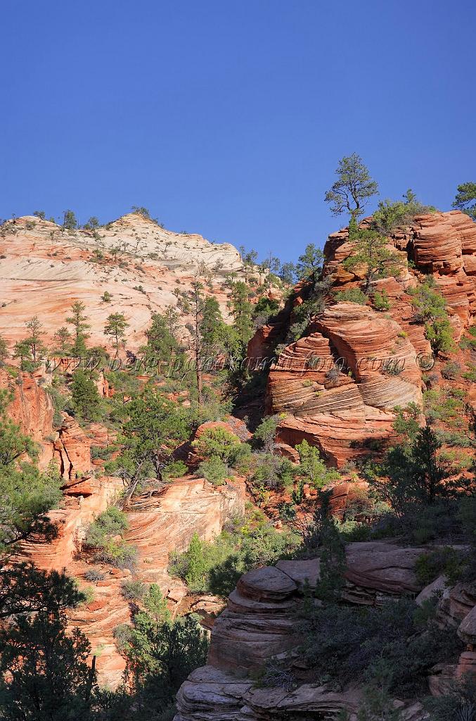 8546_08_10_2010_mount_carmel_zion_national_park_utah_red_rock_formation_valley_scenic_outlook_sky_cloud_panoramic_landscape_photography_panorama_landschaft_45_4108x6207.jpg