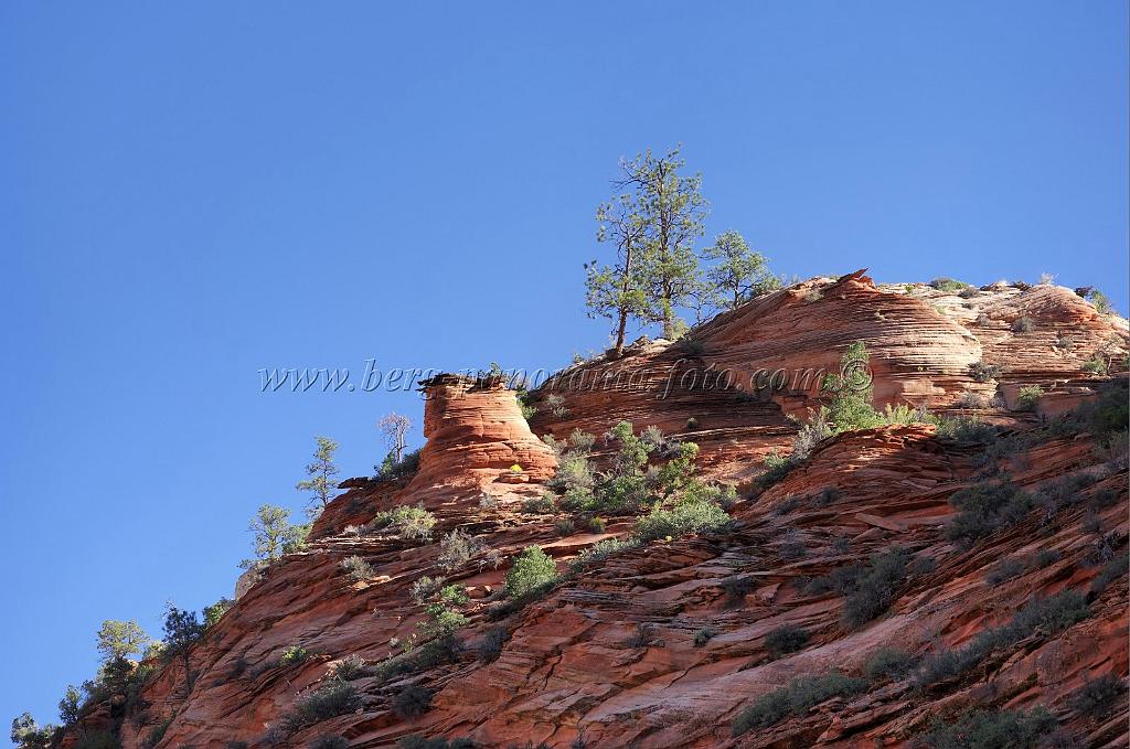8547_08_10_2010_mount_carmel_zion_national_park_utah_red_rock_formation_valley_scenic_outlook_sky_cloud_panoramic_landscape_photography_panorama_landschaft_46_6345x4211.jpg