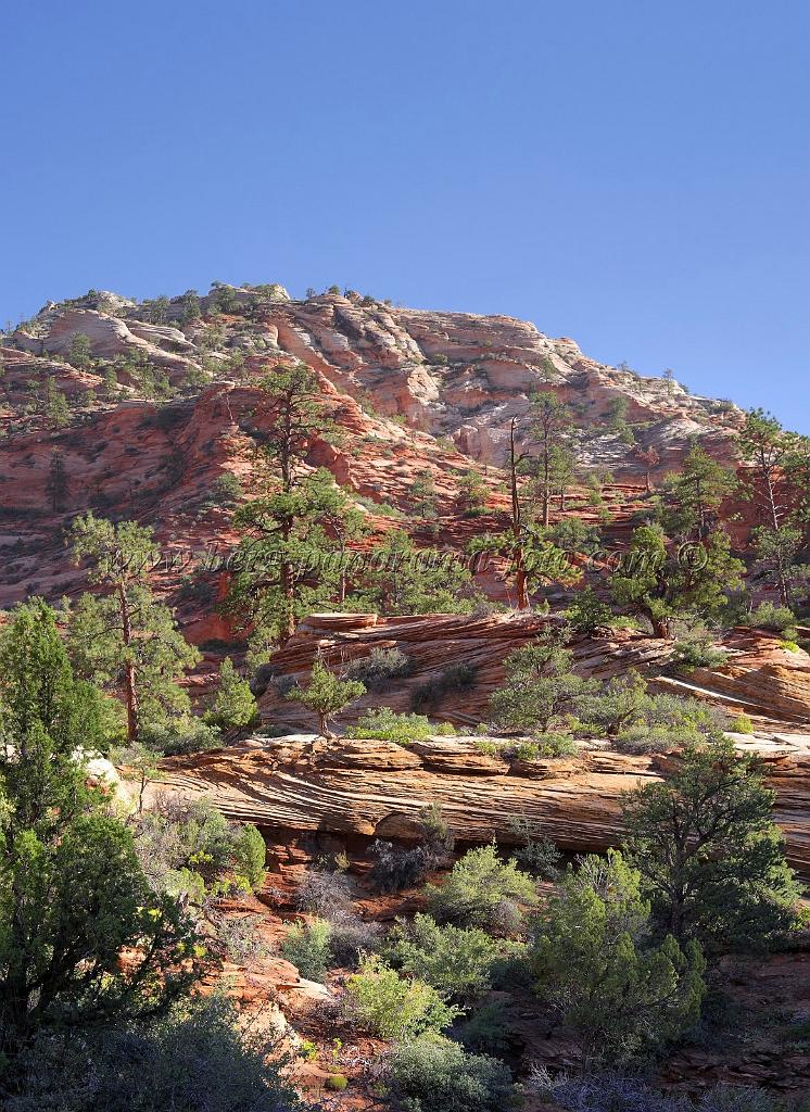 8551_08_10_2010_mount_carmel_zion_national_park_utah_red_rock_formation_valley_scenic_outlook_sky_cloud_panoramic_landscape_photography_panorama_landschaft_50_4324x5932.jpg