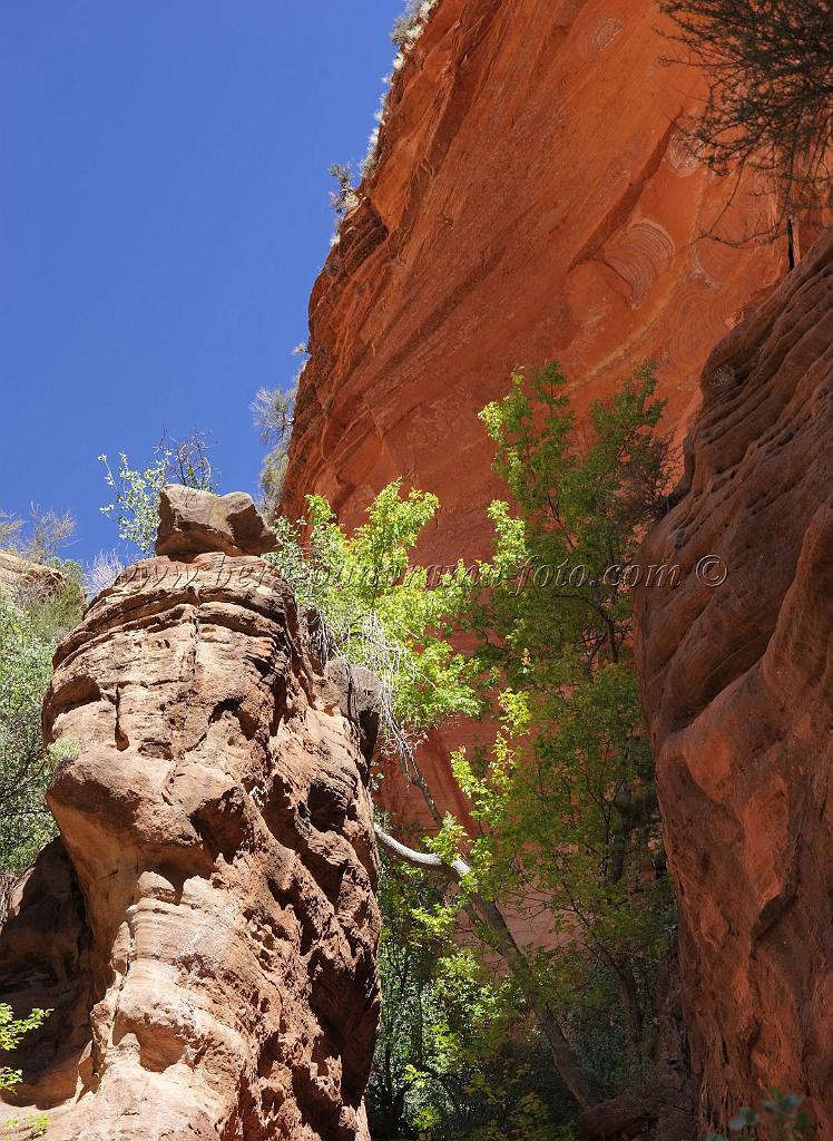 8560_08_10_2010_mount_carmel_zion_national_park_utah_red_rock_formation_valley_scenic_outlook_sky_cloud_panoramic_landscape_photography_panorama_landschaft_70_4307x5898.jpg