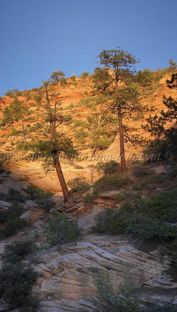 8564_08_10_2010_mount_carmel_zion_national_park_utah_red_rock_formation_valley_scenic_outlook_sky_cloud_panoramic_landscape_photography_panorama_landschaft_140_4129x7277.jpg