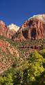 10495_11_10_2011_zion_national_park_utah_mount_carmel_valley_scenic_canyon_red_rock_outlook_autum_color_tree_panoramic_landscape_photography_panorama_landschaft_7_4957x9238