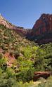 10499_11_10_2011_zion_national_park_utah_mount_carmel_valley_scenic_canyon_red_rock_outlook_autum_color_tree_panoramic_landscape_photography_panorama_landschaft_11_5001x8425
