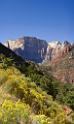10502_11_10_2011_zion_national_park_utah_mount_carmel_valley_scenic_canyon_red_rock_outlook_autum_color_tree_panoramic_landscape_photography_panorama_landschaft_14_4874x8198