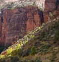 10504_11_10_2011_zion_national_park_utah_mount_carmel_valley_scenic_canyon_red_rock_outlook_autum_color_tree_panoramic_landscape_photography_panorama_landschaft_16_7938x8278