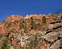 10509_11_10_2011_zion_national_park_utah_mount_carmel_valley_scenic_canyon_red_rock_outlook_autum_color_tree_panoramic_landscape_photography_panorama_landschaft_21_8348x6586