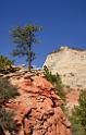 10561_11_10_2011_zion_national_park_utah_mount_carmel_valley_scenic_canyon_red_rock_outlook_autum_color_tree_panoramic_landscape_photography_panorama_landschaft_73_4955x7782
