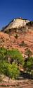 10562_11_10_2011_zion_national_park_utah_mount_carmel_valley_scenic_canyon_red_rock_outlook_autum_color_tree_panoramic_landscape_photography_panorama_landschaft_74_4596x12039