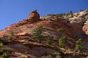 10563_11_10_2011_zion_national_park_utah_mount_carmel_valley_scenic_canyon_red_rock_outlook_autum_color_tree_panoramic_landscape_photography_panorama_landschaft_75_8491x5713