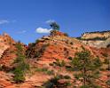 10567_11_10_2011_zion_national_park_utah_mount_carmel_valley_scenic_canyon_red_rock_outlook_autum_color_tree_panoramic_landscape_photography_panorama_landschaft_79_7542x6016