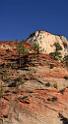 10572_11_10_2011_zion_national_park_utah_mount_carmel_valley_scenic_canyon_red_rock_outlook_autum_color_tree_panoramic_landscape_photography_panorama_landschaft_84_4593x8422