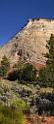 10573_11_10_2011_zion_national_park_utah_mount_carmel_valley_scenic_canyon_red_rock_outlook_autum_color_tree_panoramic_landscape_photography_panorama_landschaft_85_4696x10736
