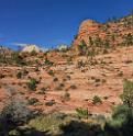 15976_29_09_2014_zion_national_park_mount_carmel_utah_autumn_red_rock_blue_sky_fall_color_colorful_tree_mountain_forest_panoramic_landscape_photography_herbst_48_6684x6863