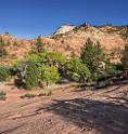 15978_29_09_2014_zion_national_park_mount_carmel_utah_autumn_red_rock_blue_sky_fall_color_colorful_tree_mountain_forest_panoramic_landscape_photography_herbst_44_7315x7708