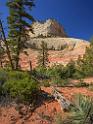 15983_29_09_2014_zion_national_park_mount_carmel_utah_autumn_red_rock_blue_sky_fall_color_colorful_tree_mountain_forest_panoramic_landscape_photography_herbst_29_7211x9662