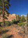 15984_29_09_2014_zion_national_park_mount_carmel_utah_autumn_red_rock_blue_sky_fall_color_colorful_tree_mountain_forest_panoramic_landscape_photography_herbst_30_7220x9778