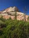 15985_29_09_2014_zion_national_park_mount_carmel_utah_autumn_red_rock_blue_sky_fall_color_colorful_tree_mountain_forest_panoramic_landscape_photography_herbst_28_7240x9486