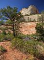 16009_29_09_2014_zion_national_park_mount_carmel_utah_autumn_red_rock_blue_sky_fall_color_colorful_tree_mountain_forest_panoramic_landscape_photography_herbst_31_7202x9762