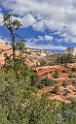 16696_01_10_2014_zion_national_park_mount_carmel_utah_autumn_red_rock_blue_sky_fall_color_colorful_tree_mountain_forest_panoramic_landscape_photography_herbst_27_6973x11426