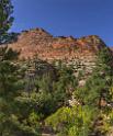 16705_01_10_2014_zion_national_park_mount_carmel_utah_autumn_red_rock_blue_sky_fall_color_colorful_tree_mountain_forest_panoramic_landscape_photography_herbst_18_6961x8402