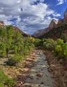 16714_01_10_2014_zion_national_park_mount_carmel_utah_autumn_red_rock_blue_sky_fall_color_colorful_tree_mountain_forest_panoramic_landscape_photography_herbst_7_6771x8718