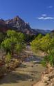 16715_01_10_2014_zion_national_park_mount_carmel_utah_autumn_red_rock_blue_sky_fall_color_colorful_tree_mountain_forest_panoramic_landscape_photography_herbst_6_7077x11133