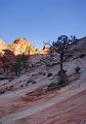 8509_08_10_2010_mount_carmel_zion_national_park_utah_red_rock_formation_valley_scenic_outlook_sky_cloud_panoramic_landscape_photography_panorama_landschaft_8_4176x6049