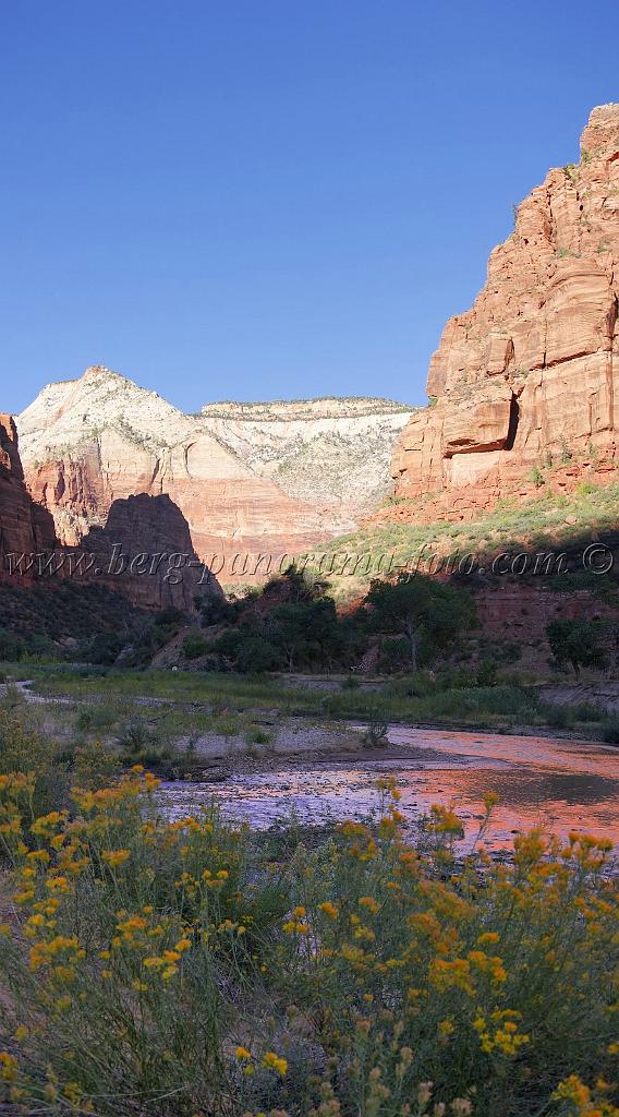 8633_08_10_2010_springdale_zion_national_park_utah_the_grotto_scenic_canyon_lookout_sky_cloud_panoramic_landscape_photography_panorama_landschaft_126_4189x7543.jpg