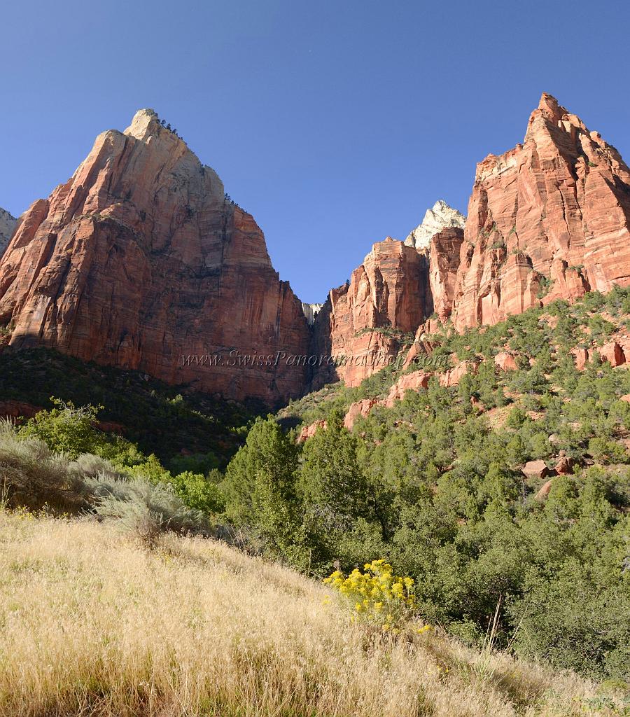 10601_12_10_2011_zion_national_park_utah_springdale_floor_valley_scenic_river_canyon_rock_sky_autum_color_tree_panoramic_landscape_photography_panorama_landschaft_57_5285x6010.jpg