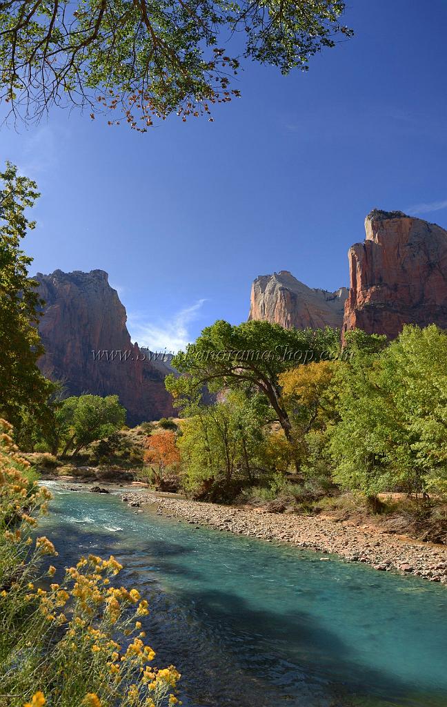 10607_12_10_2011_zion_national_park_utah_springdale_floor_valley_scenic_river_canyon_rock_sky_autum_color_tree_panoramic_landscape_photography_panorama_landschaft_51_5071x8010