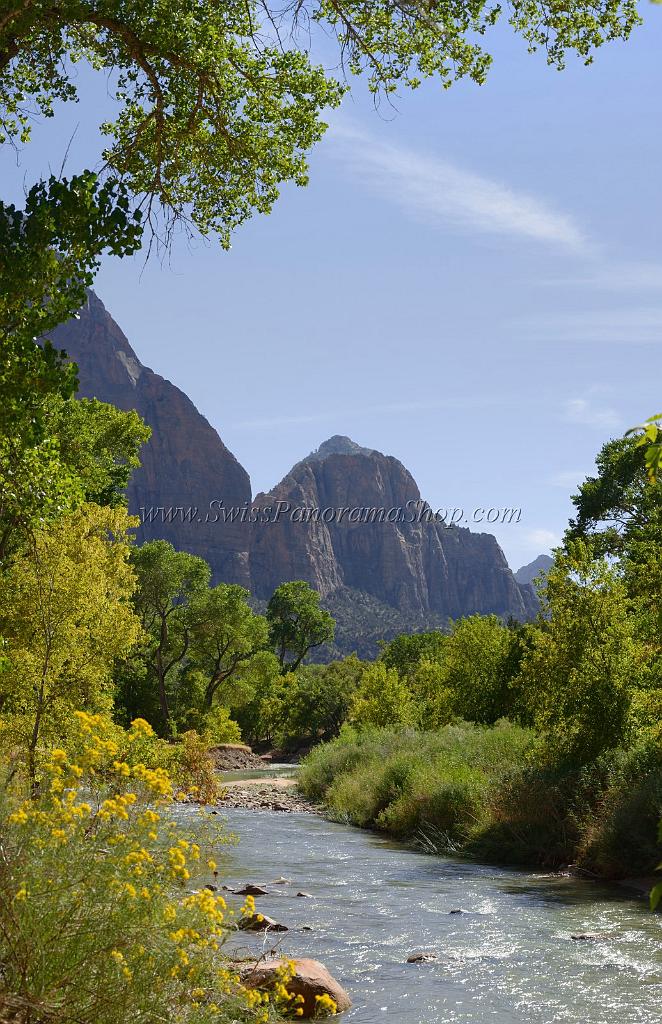 10618_12_10_2011_zion_national_park_utah_springdale_floor_valley_scenic_river_canyon_rock_sky_autum_color_tree_panoramic_landscape_photography_panorama_landschaft_40_4667x7209.jpg