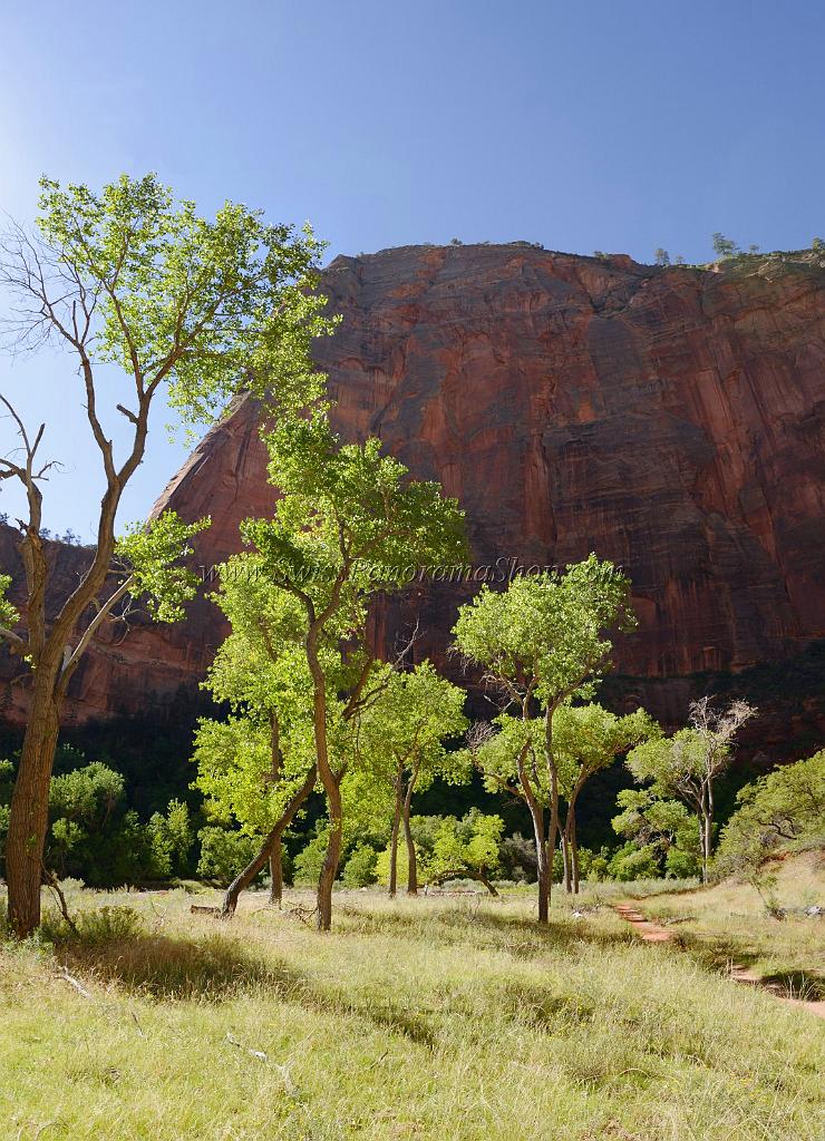 10635_12_10_2011_zion_national_park_utah_springdale_floor_valley_scenic_river_canyon_rock_sky_autum_color_tree_panoramic_landscape_photography_panorama_landschaft_23_4822x6663.jpg