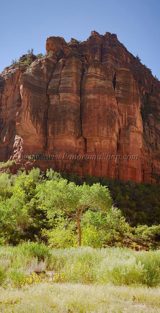 10637_12_10_2011_zion_national_park_utah_springdale_floor_valley_scenic_river_canyon_rock_sky_autum_color_tree_panoramic_landscape_photography_panorama_landschaft_21_4759x9311.jpg