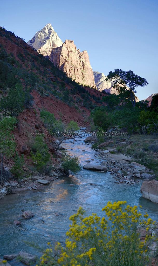 10655_12_10_2011_zion_national_park_utah_springdale_floor_valley_scenic_river_canyon_rock_sky_autum_color_tree_panoramic_landscape_photography_panorama_landschaft_3_4777x8022.jpg