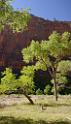 10633_12_10_2011_zion_national_park_utah_springdale_floor_valley_scenic_river_canyon_rock_sky_autum_color_tree_panoramic_landscape_photography_panorama_landschaft_25_4993x8752
